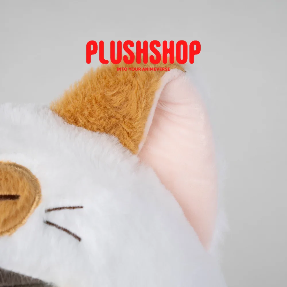 Kenma Meowtube - Image 8